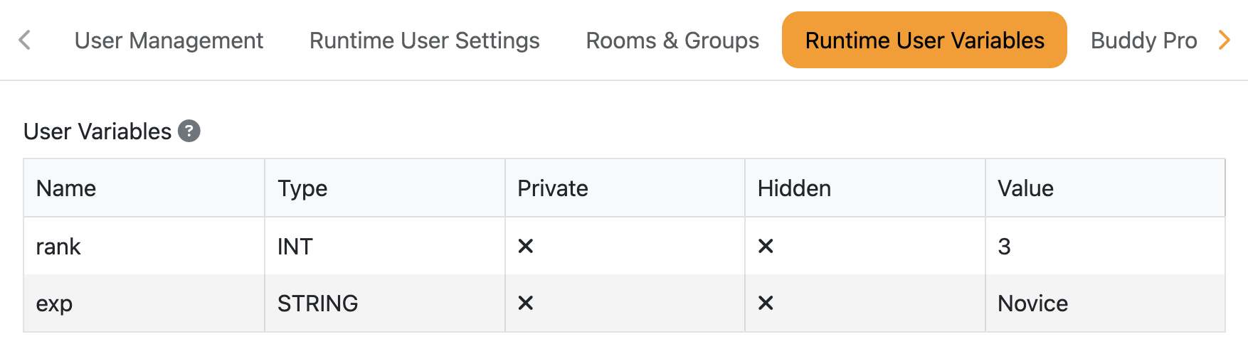 Runtime User Variables